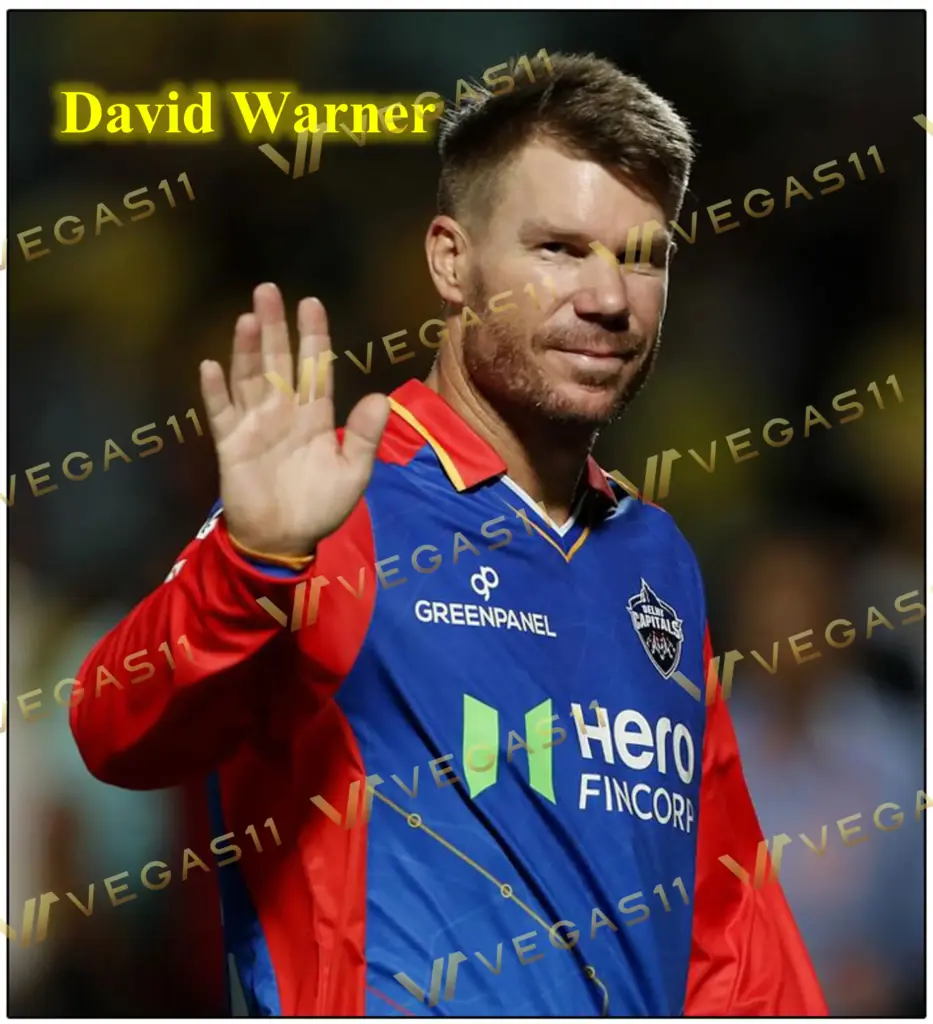 Best IPL captain: David Warner