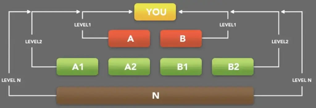 This is the schematic diagram how this Affiliate scheme works here N is up to 6 levels.