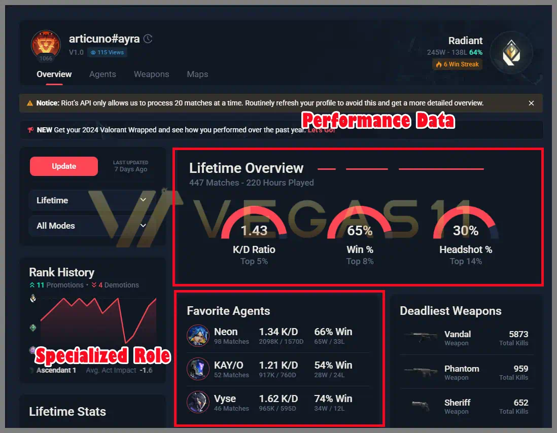 Player Data Analysis