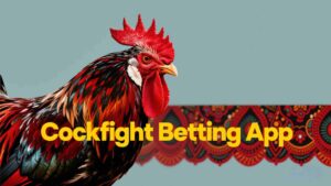 Cockfighting Betting App