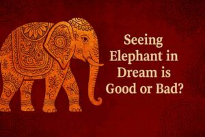 seeing elephant in dream